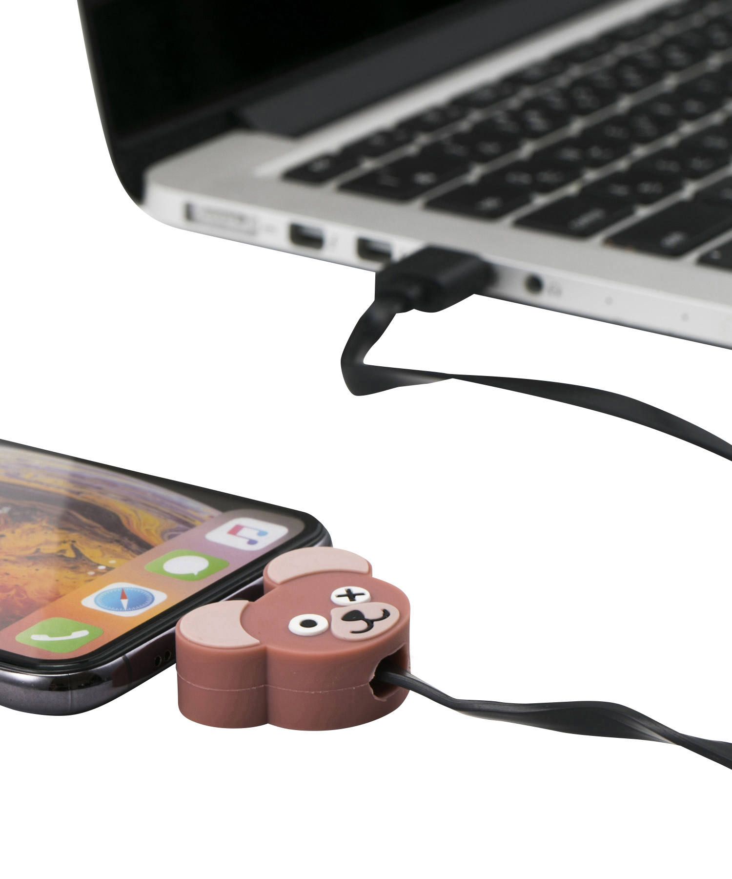 Charging Cable for Apple iPhone - Teddy Is Power