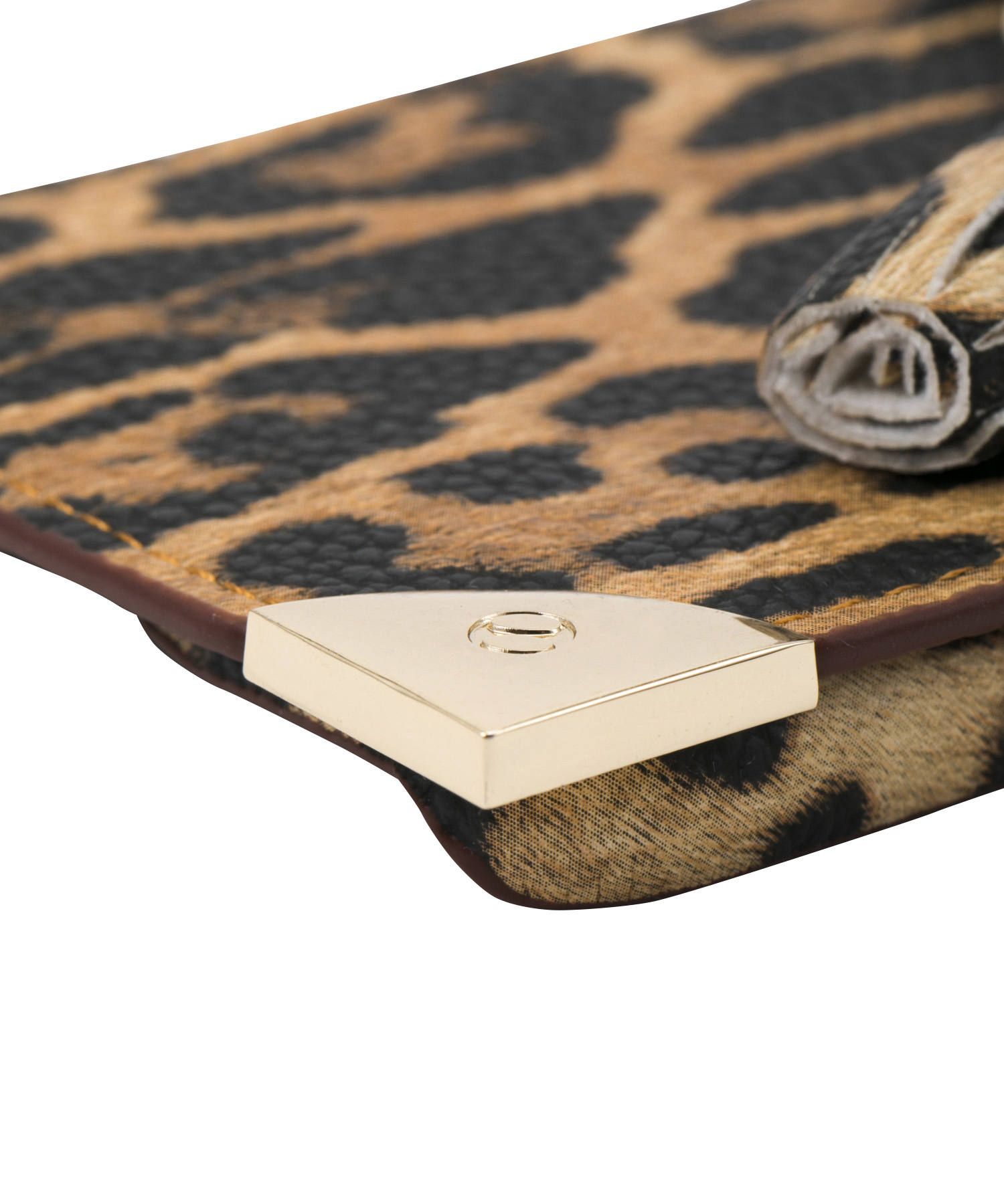 Necklace Trunk Case for iPhone X/XS - Leo