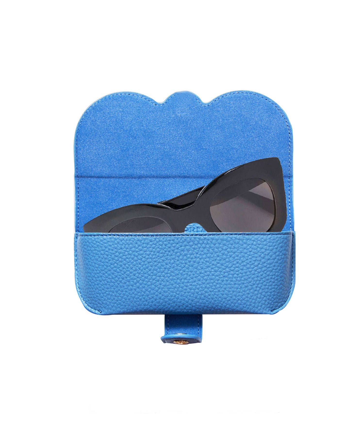 Glasses Case with Bag Holder - Eyes Blue