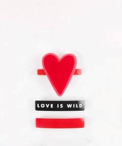 Barette 3er-Set - Love Is Wild
