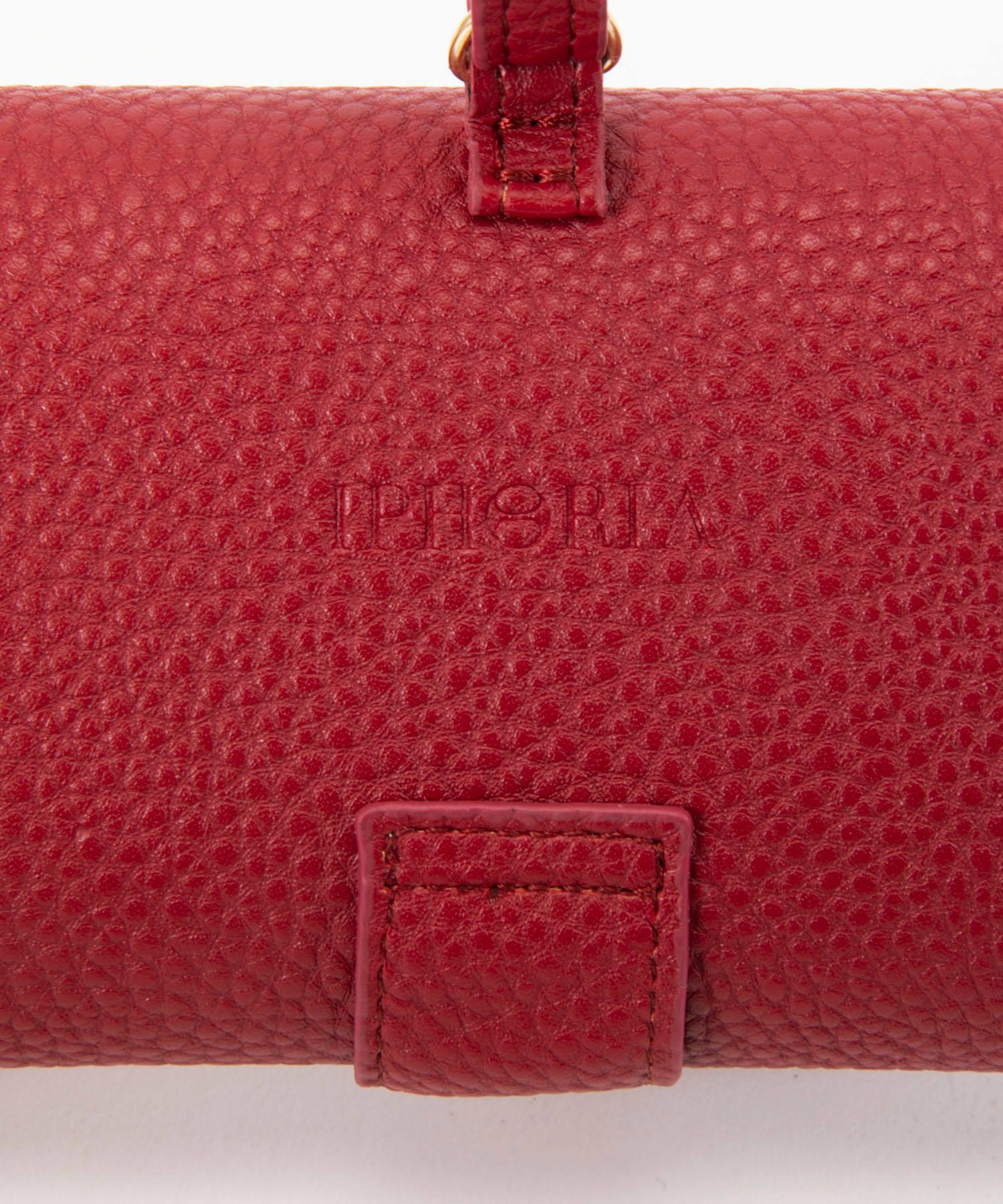 Glasses Case with Bag Holder - Dark Red & Hook in Gold