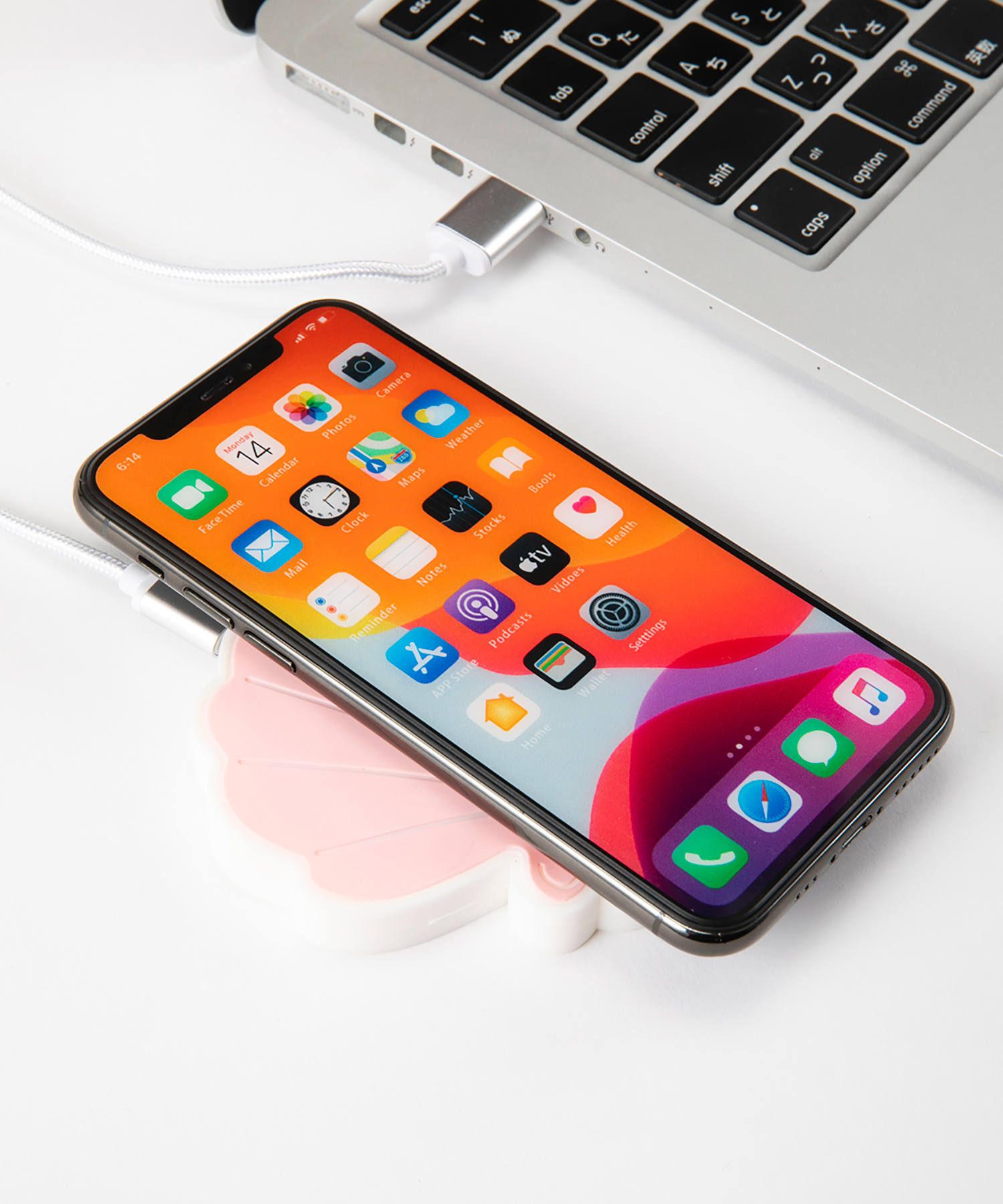 QI Wireless Charger - Nude Seashell