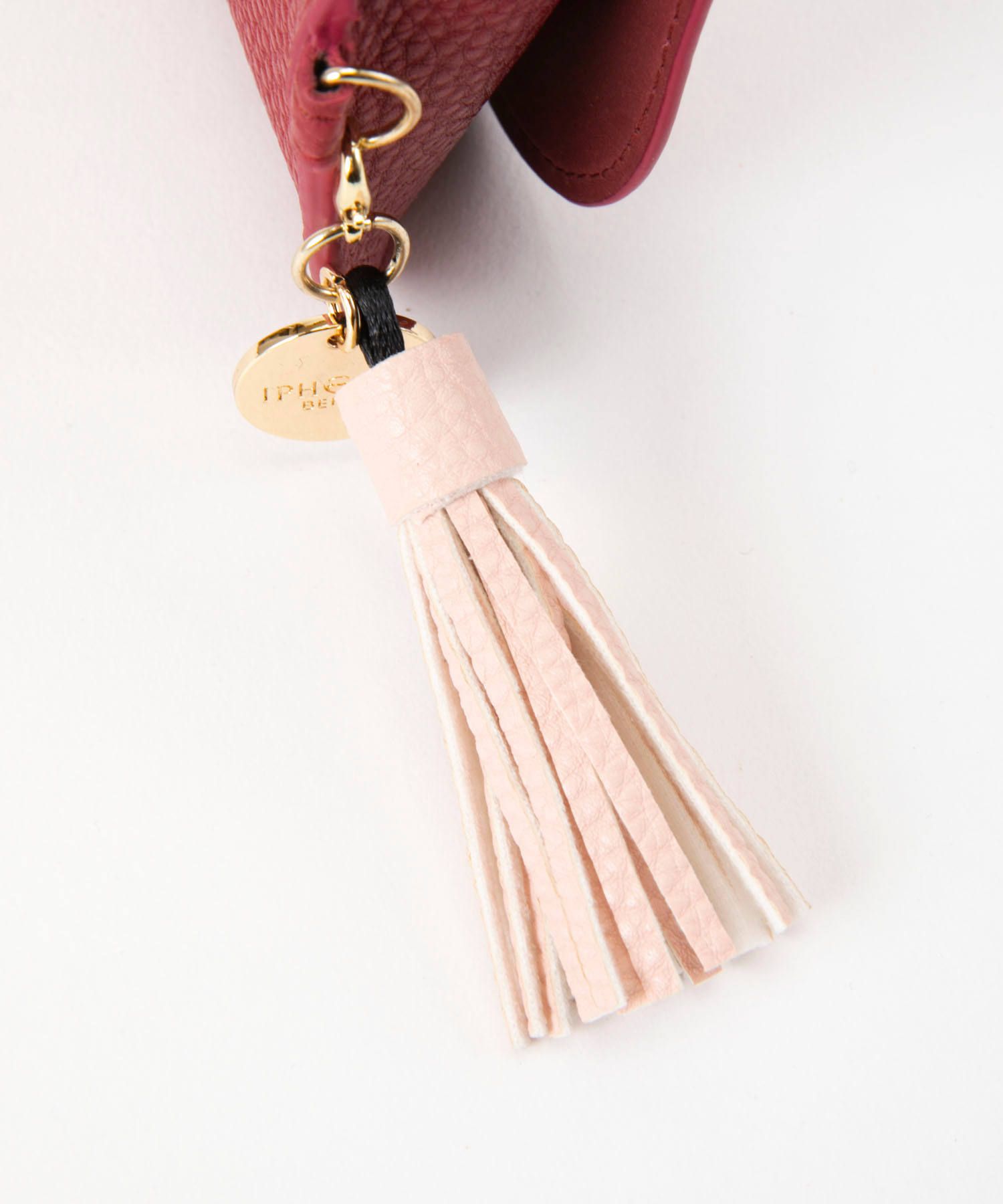 Glasses Case with Bag Holder - Dark Red & Hook in Gold