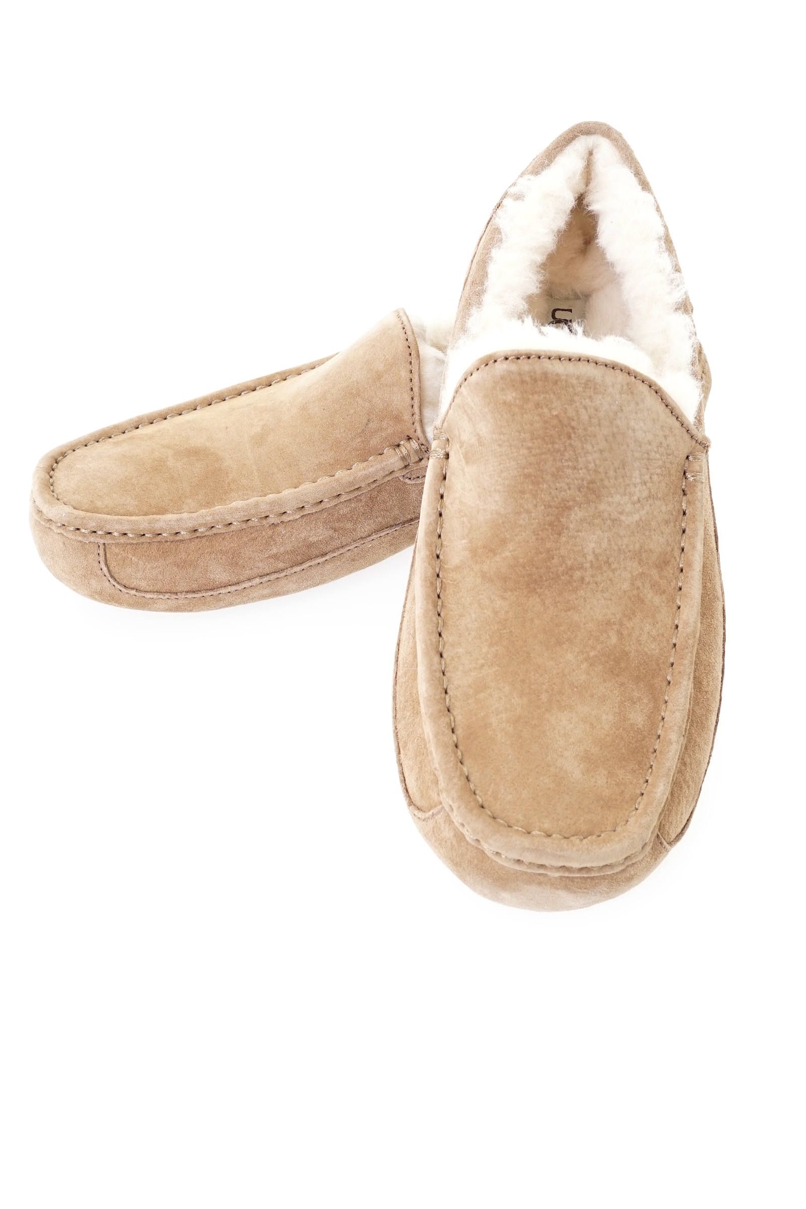 Ugg ラスト1点のみ Ascot メンズサイズ Ivory