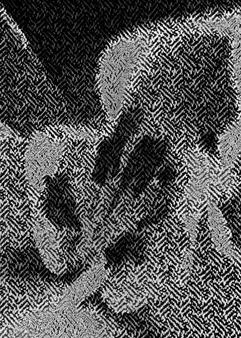 No. 5