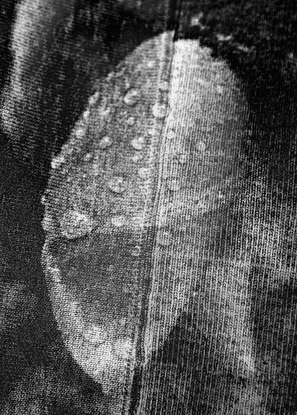 No. 8