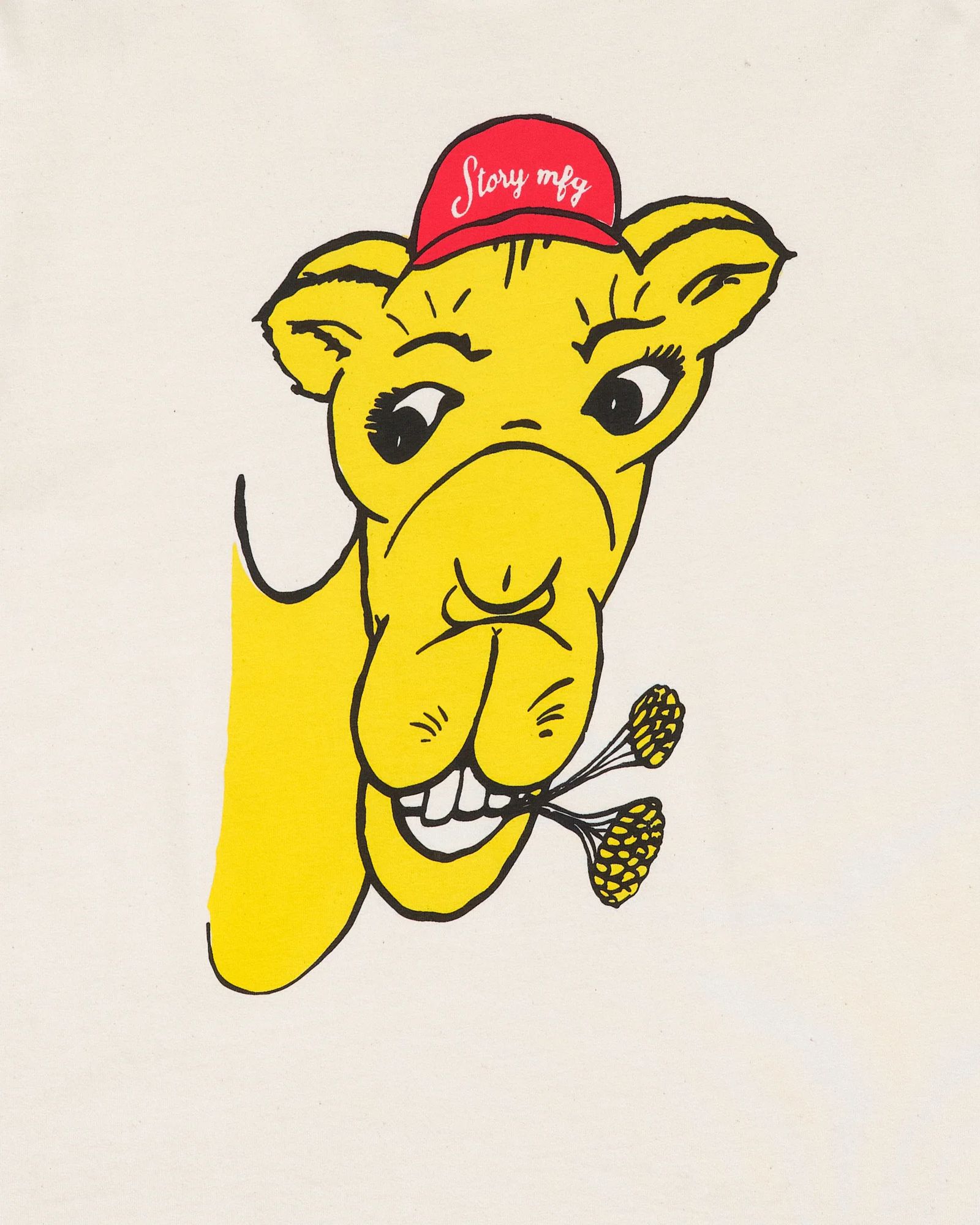 STORY mfg. - GRATEFUL TEE SS ECRU CAMEL / プリントTシャツ | koko