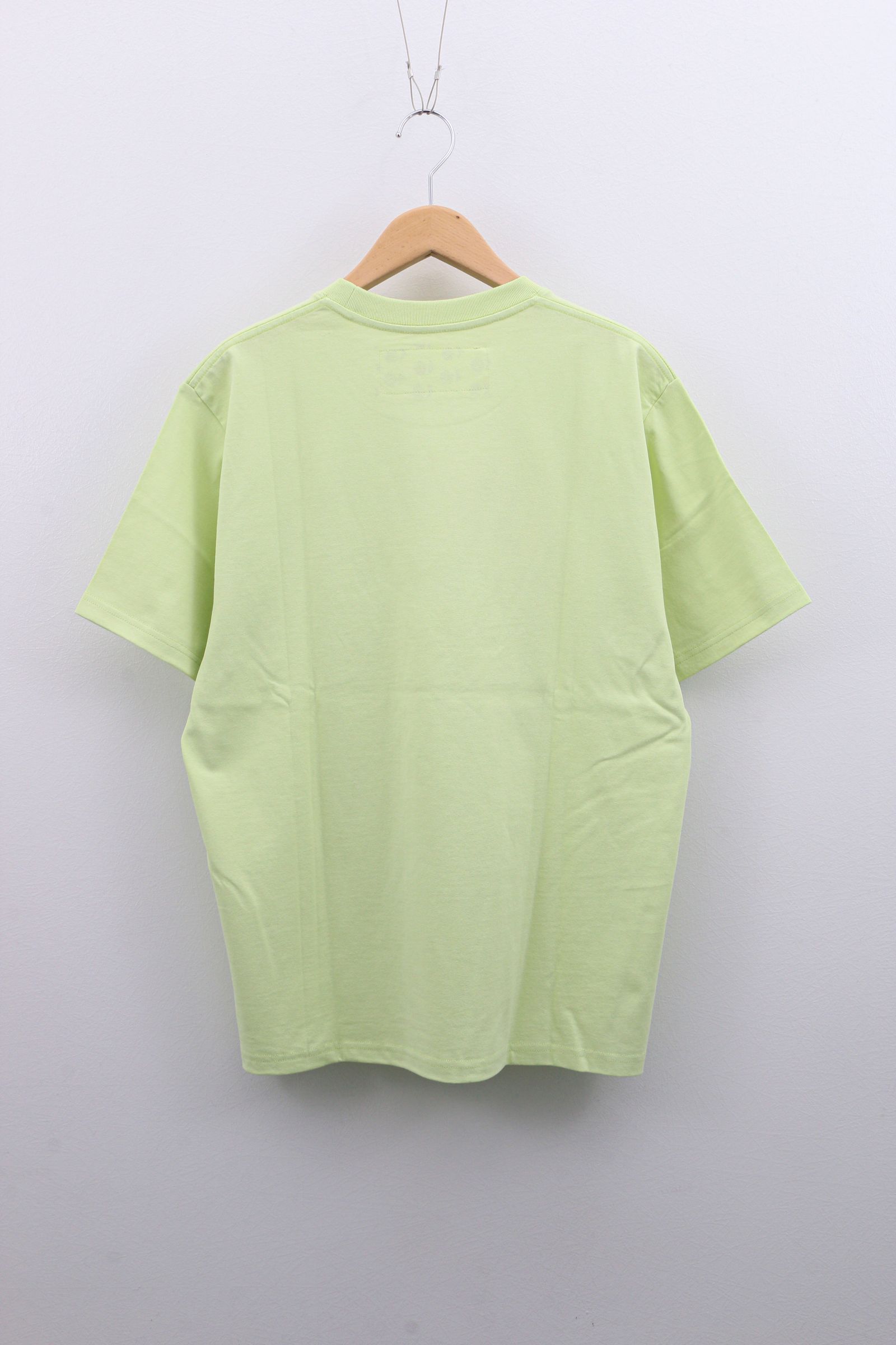 GENTLE FULLNESS - Recycled Cotton SS Tee PISTACHIO DRAGONFLY ...