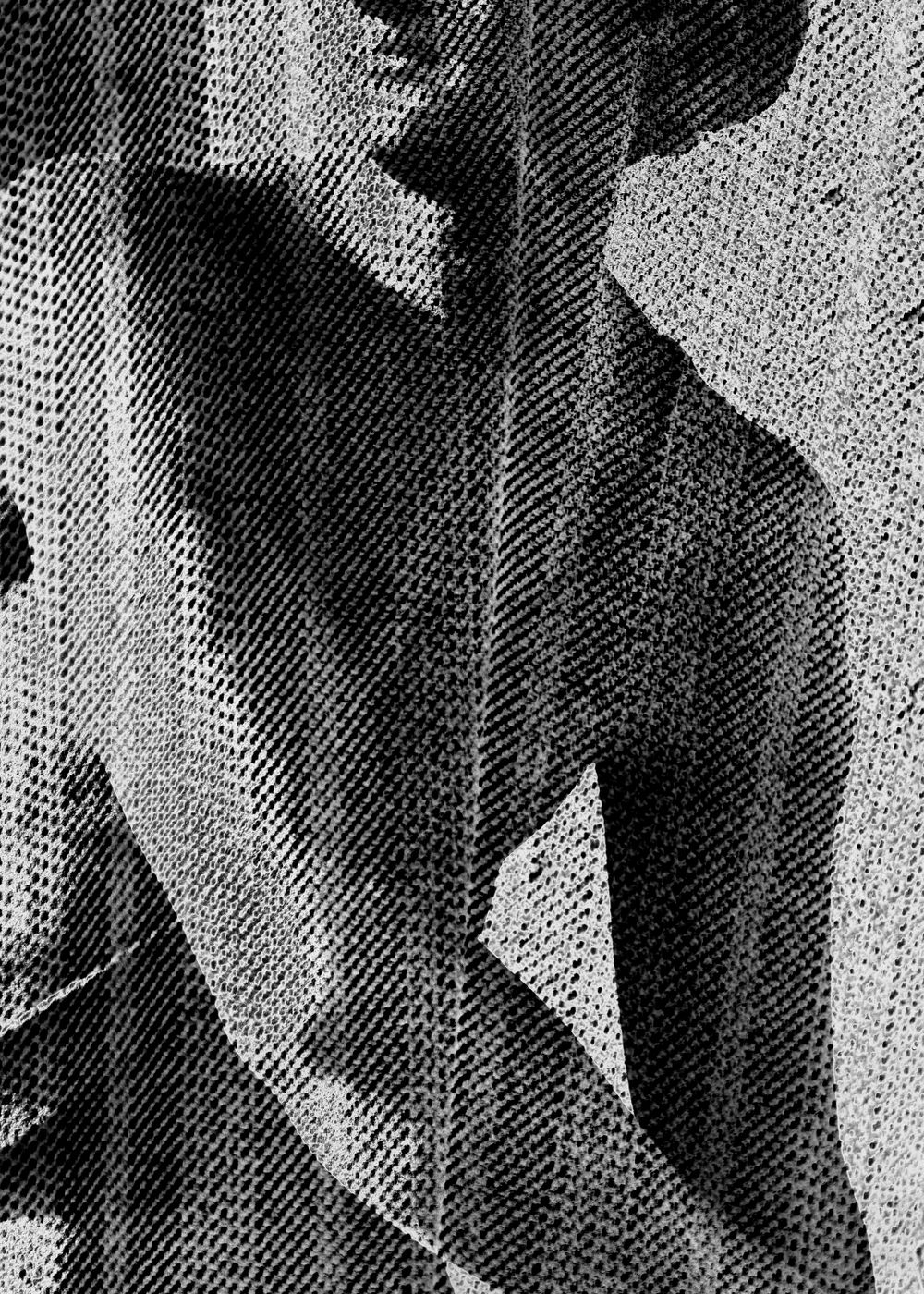 No. 12