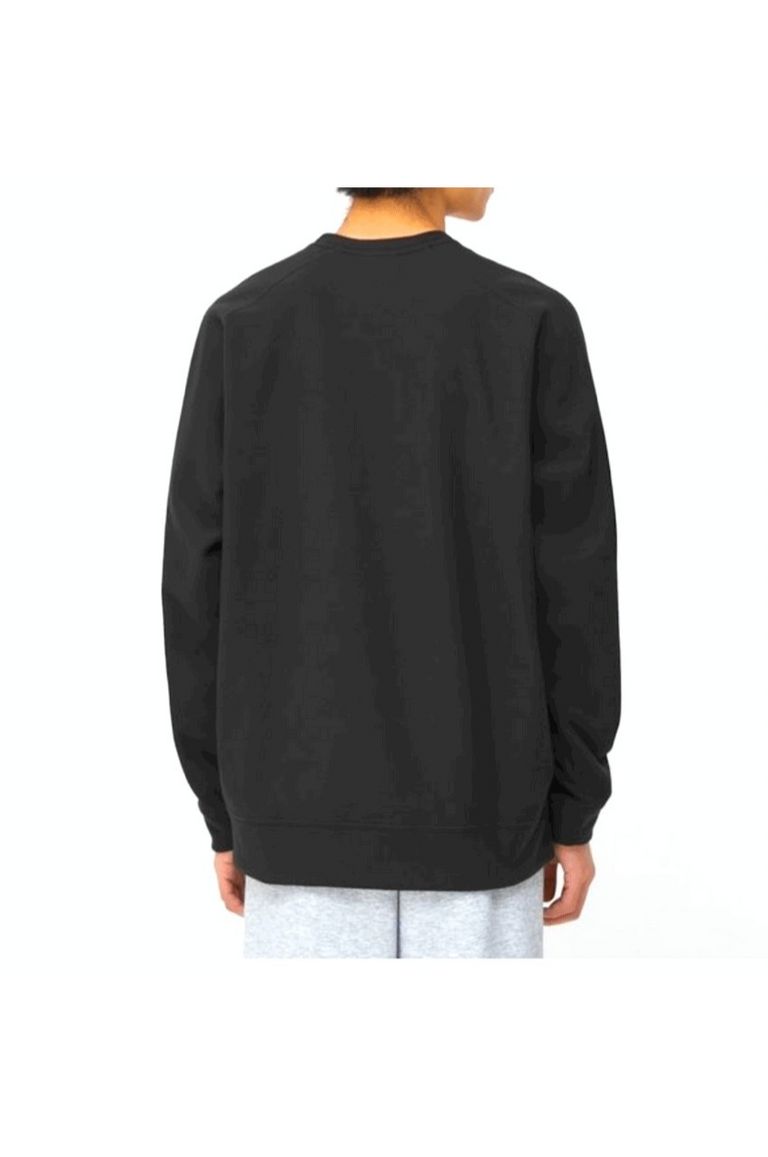 ザ・ノース・フェイス THE NORTH FACE マイクロフリースクルー 　L THE NORTH FACE - Micro Fleece Crew / マイクロフリースクルー