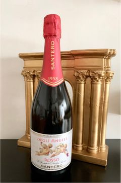 サンテロ 天使のロッソ・スプマンテ(赤.泡)750ml