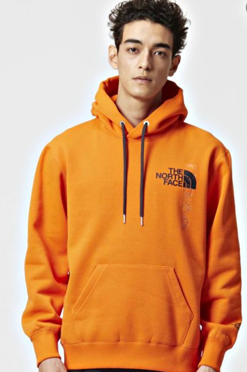 THE NORTH FACE - Back Half Dome Hoodie / バックハーフドーム