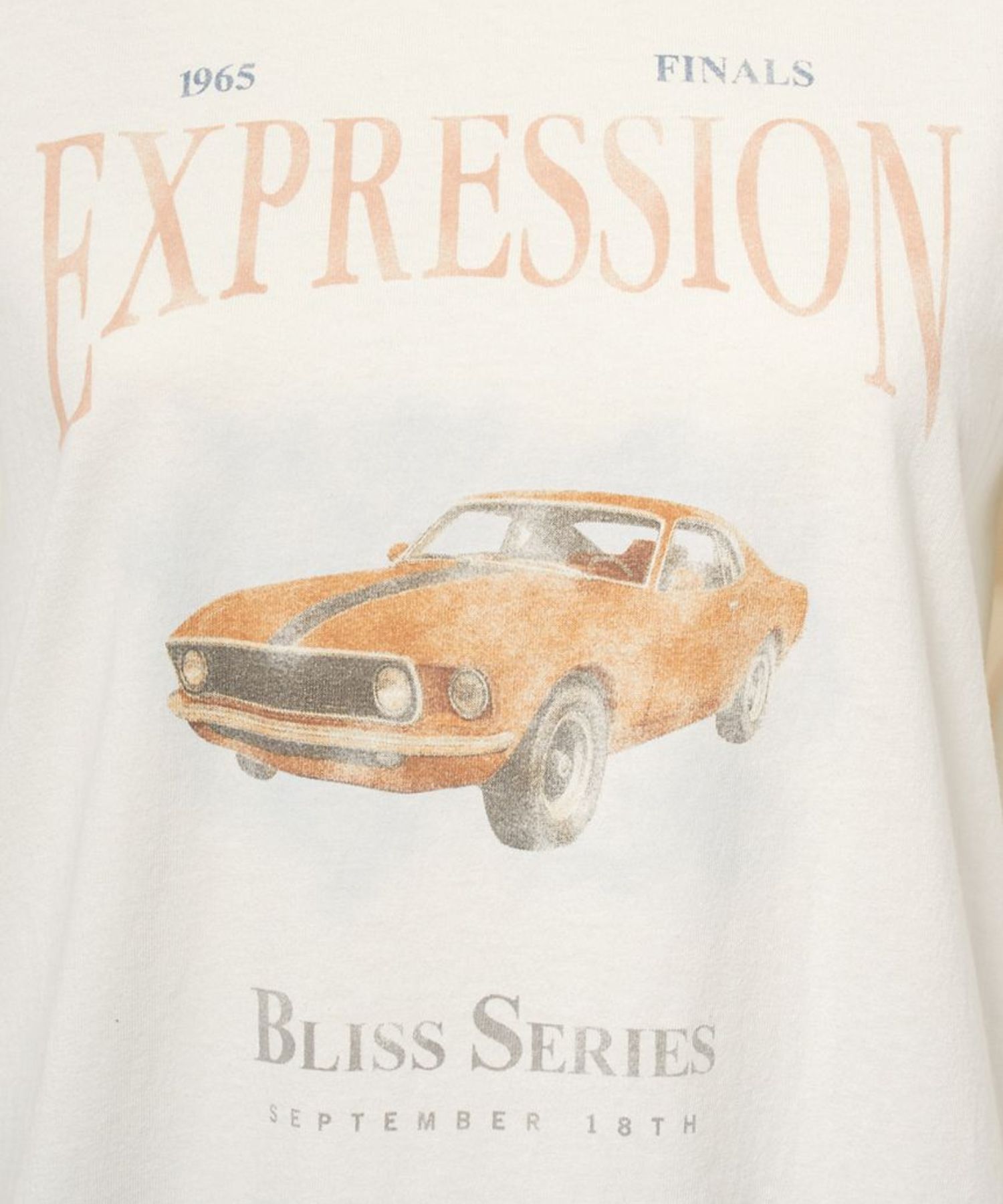 ヴィンテージライクグラフィックTシャツ (WHT) 綿 / フロントプリント / ゆとり感あり / シーズンレス / 洗濯可 / 09WCT261912