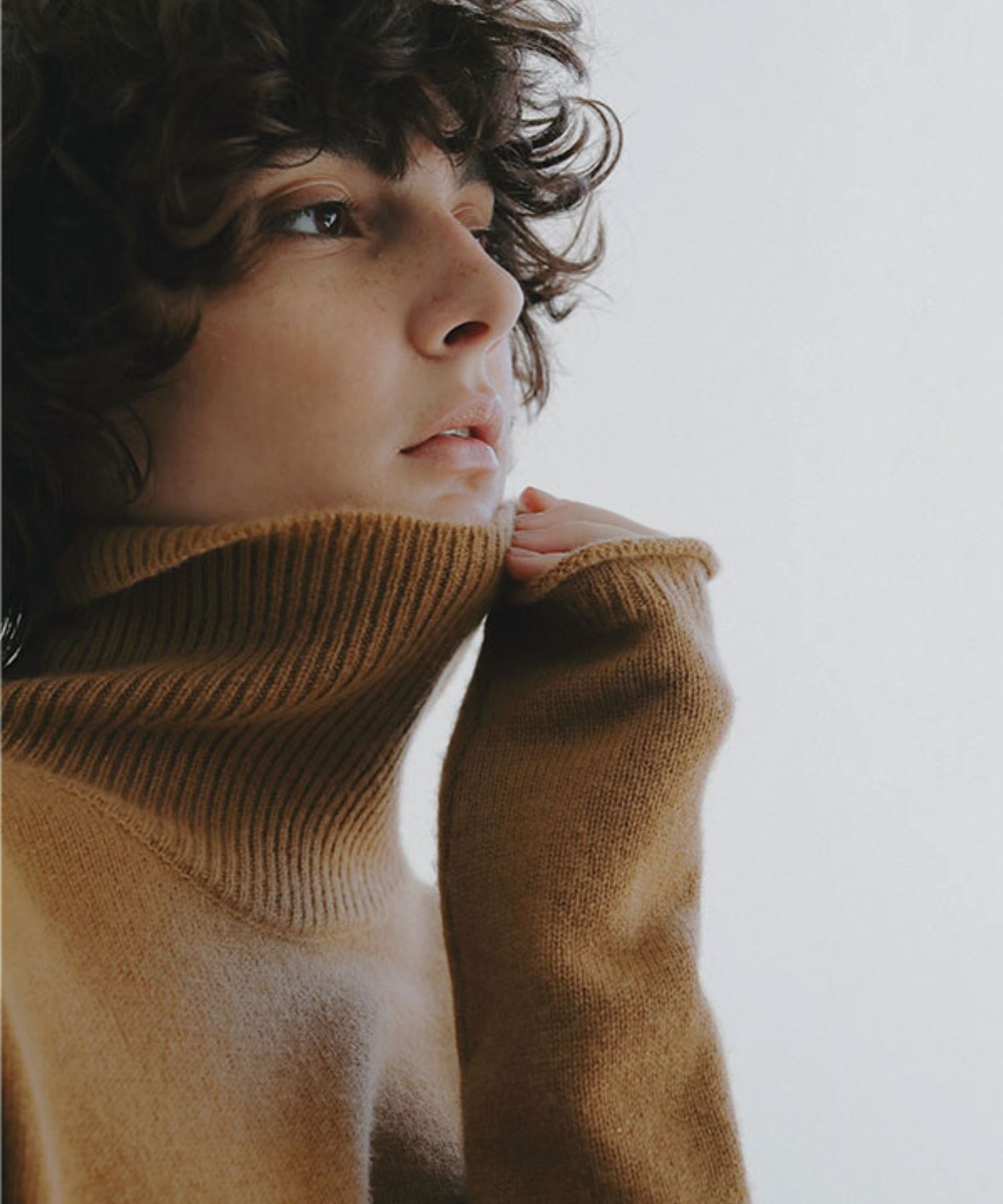 ウールカシミヤタートルネックニットプルオーバー (CAMEL) 毛 / ほどよくフィット / 裾ラウンドカット / 袖口ロールエンド / 手洗可 / 1226111008