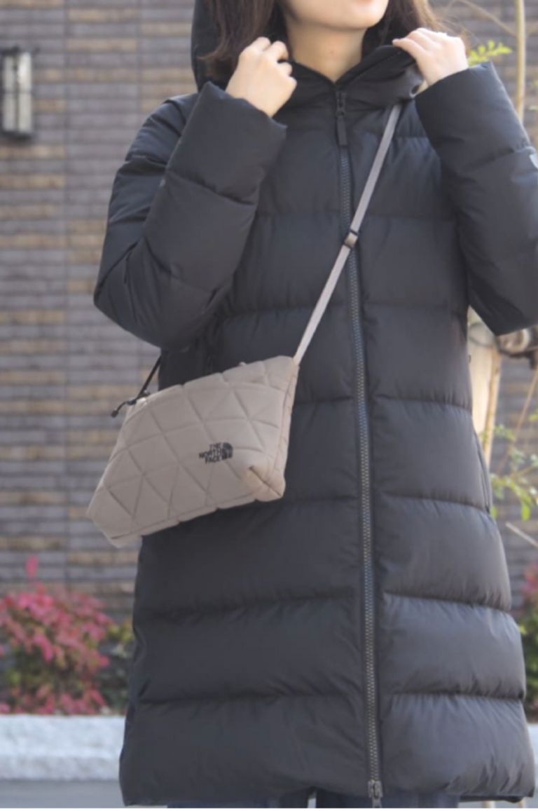 THE NORTH FACE - WS Down Shell Coat / ウィンドストッパーダウン