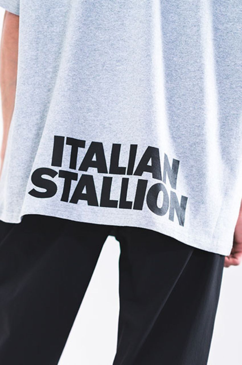 ロンズデール（LONSDALE）コラボレーションTシャツ （グレー）コットン100％