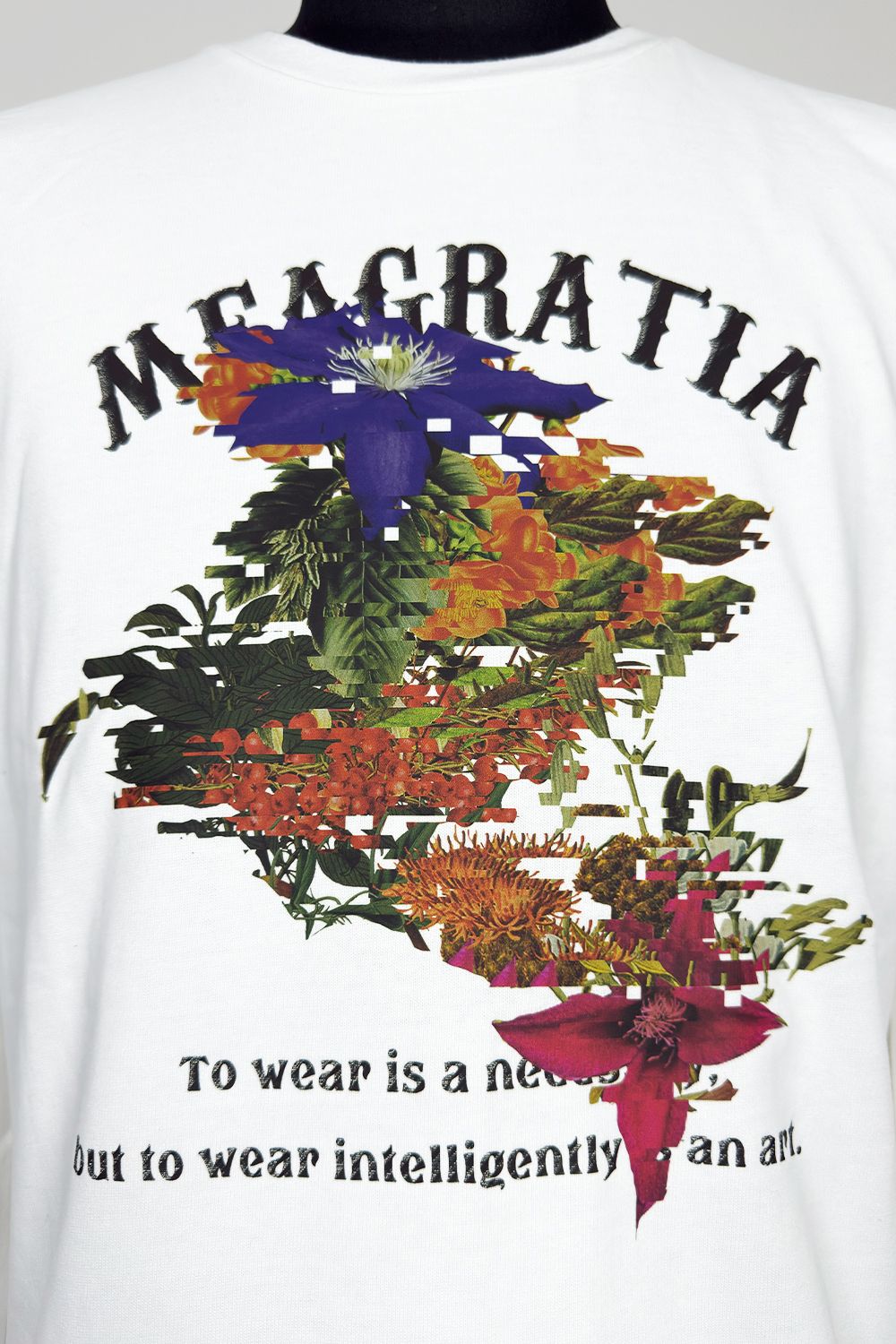 Print L/S Tee / プリント ロングスリーブ Tシャツ