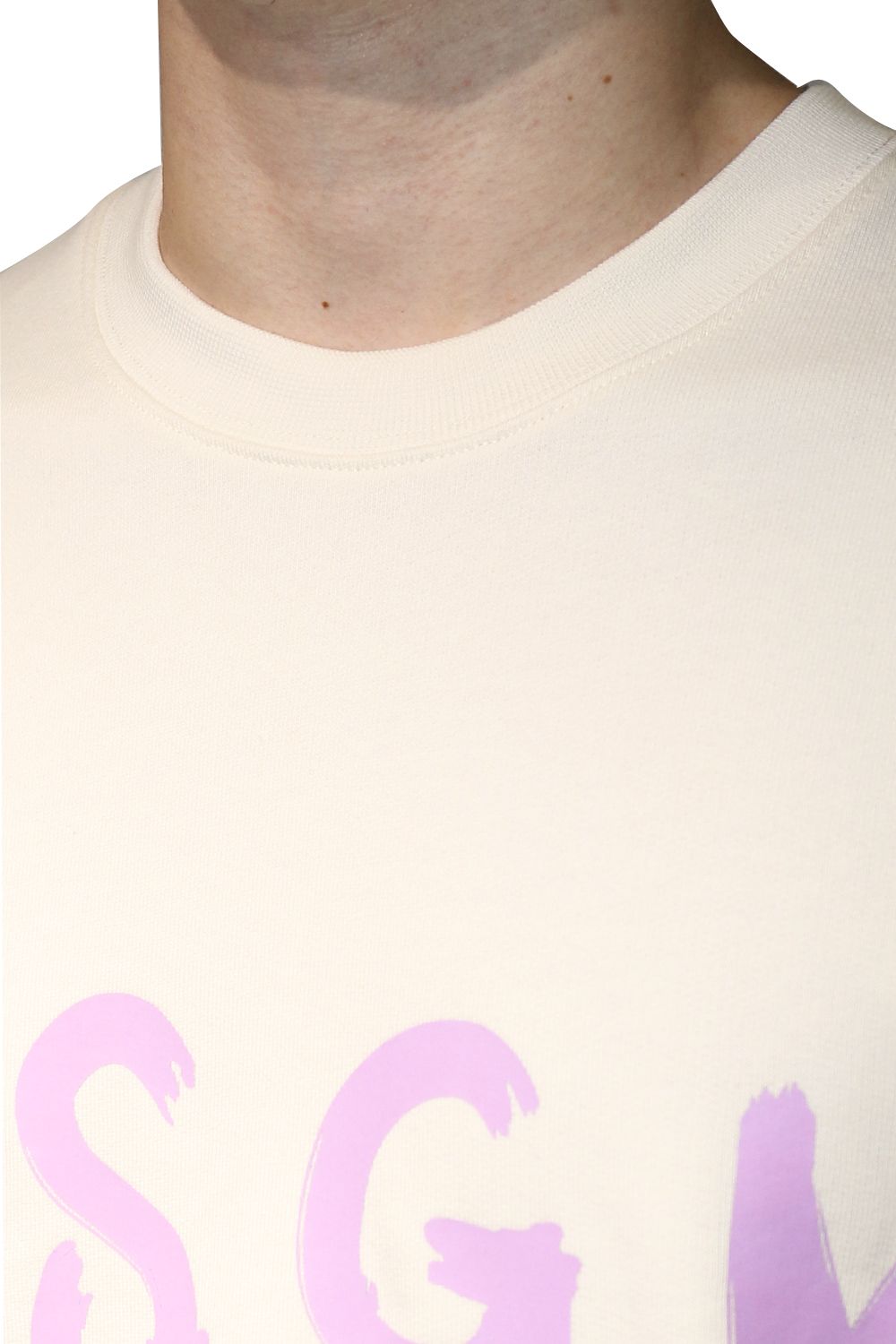 CREW NECK SWEATSHIRT With BRUSHSTROKE LOGO