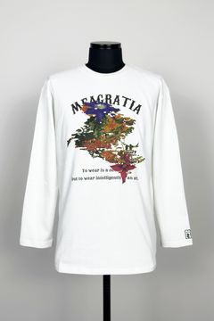 Print L/S Tee / プリント ロングスリーブ Tシャツ