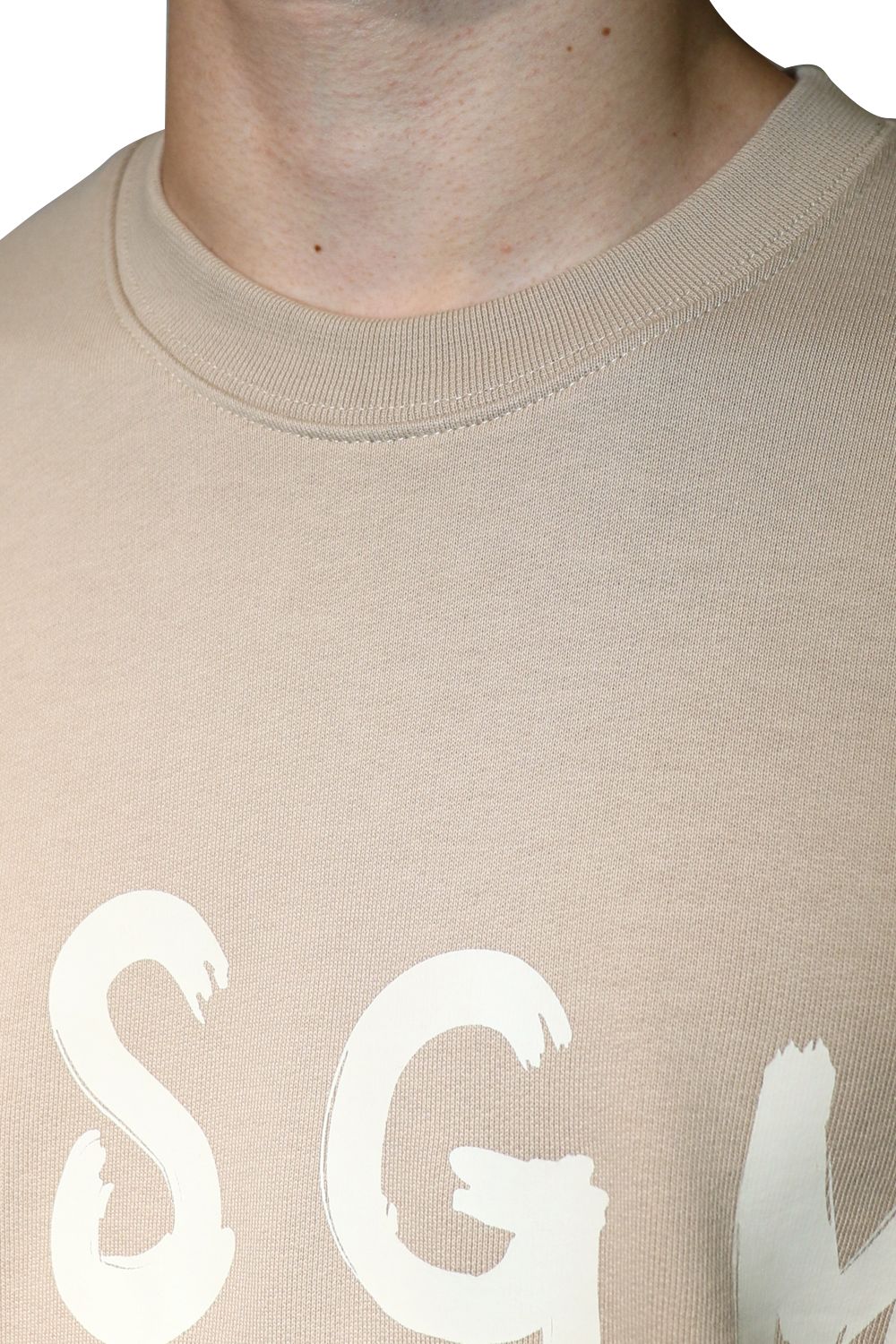 CREW NECK SWEATSHIRT With BRUSHSTROKE LOGO