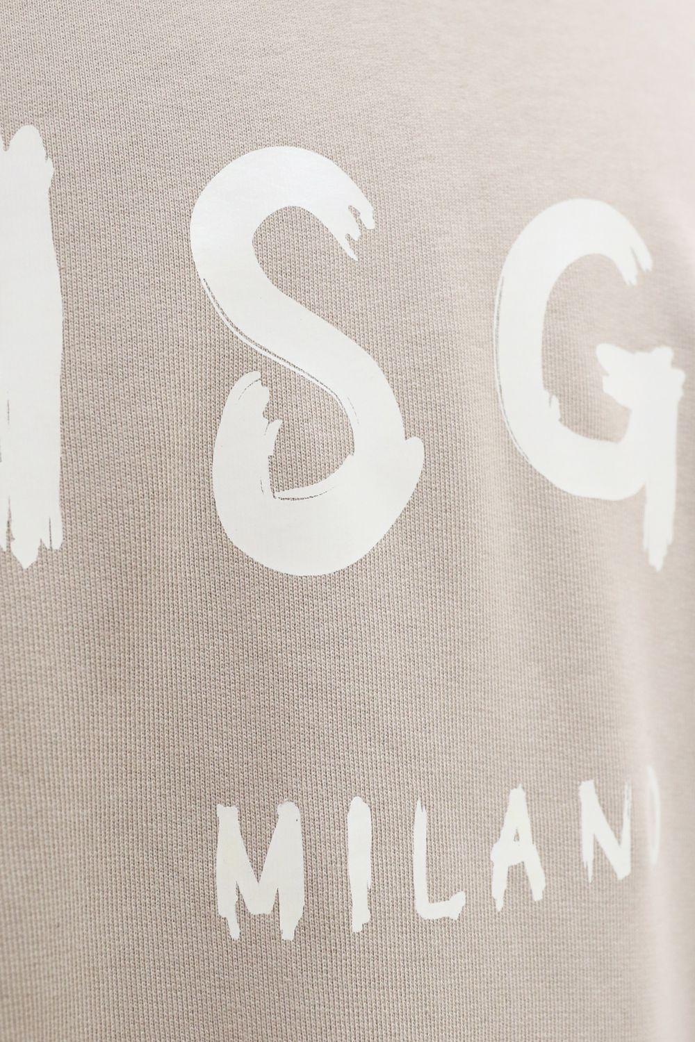 CREW NECK SWEATSHIRT With BRUSHSTROKE LOGO
