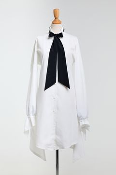 Wing Collar Flare Ribbon Shirt