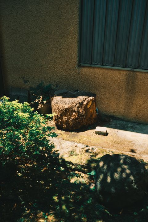 No. 6
