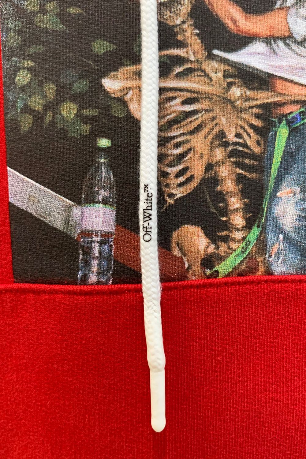 PASCAL PRINT SLIM Hoodie