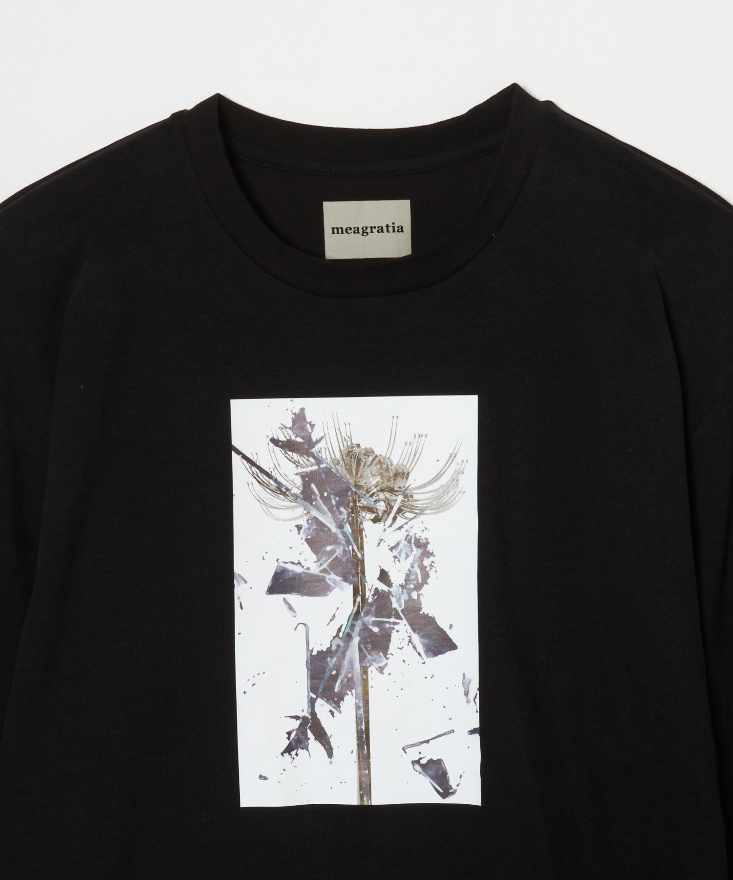 Print L/S Tee / プリント ロングスリーブ Tシャツ