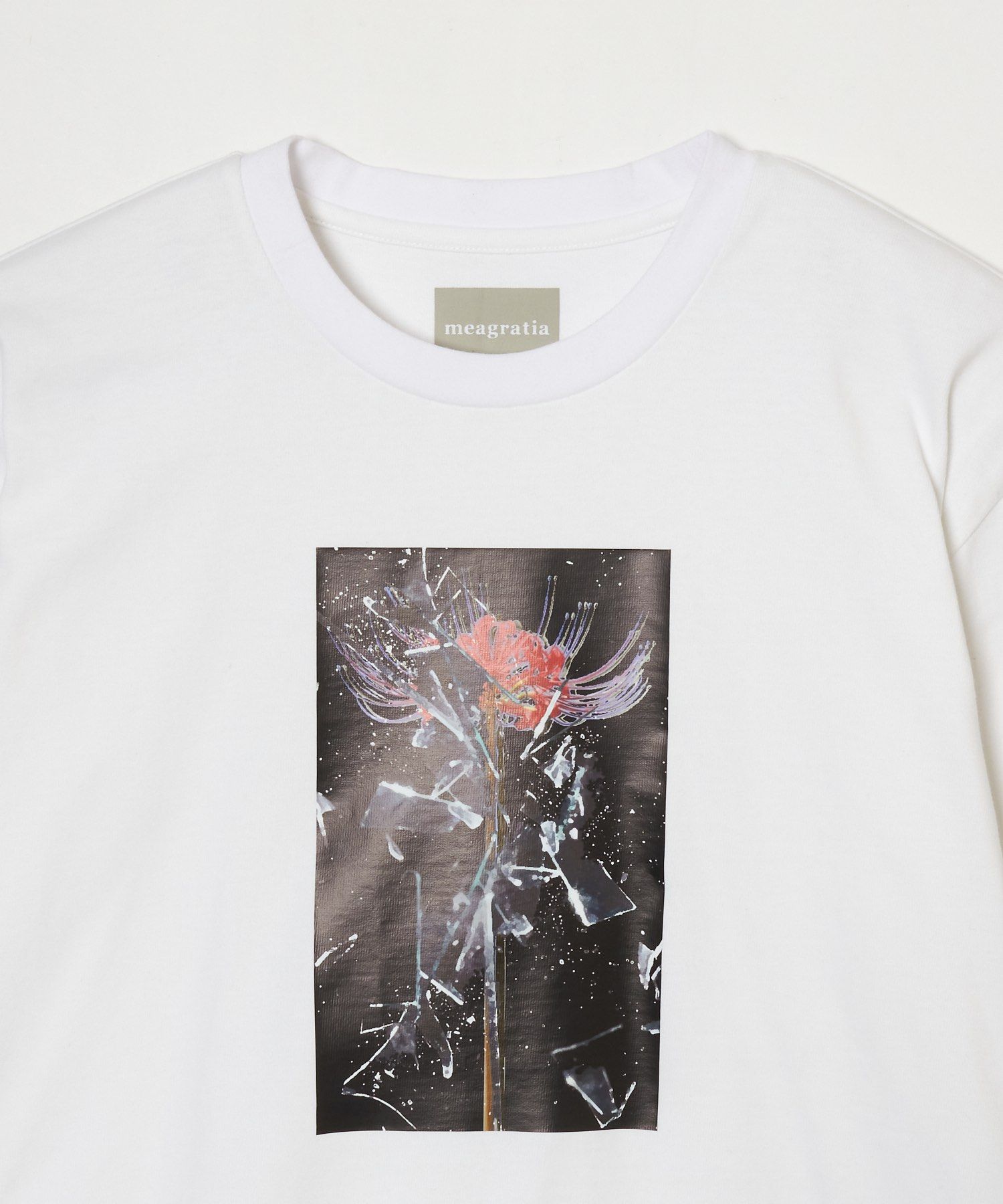 Print L/S Tee / プリント ロングスリーブ Tシャツ