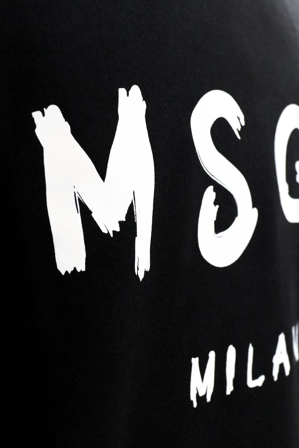 CREW NECK SWEATSHIRT With BRUSHSTROKE LOGO