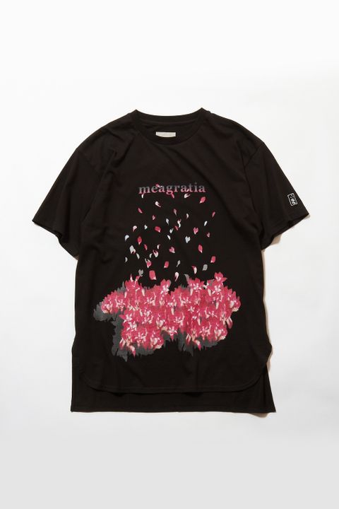 Print S/S Tee / プリント ショートスリーブ Tシャツ