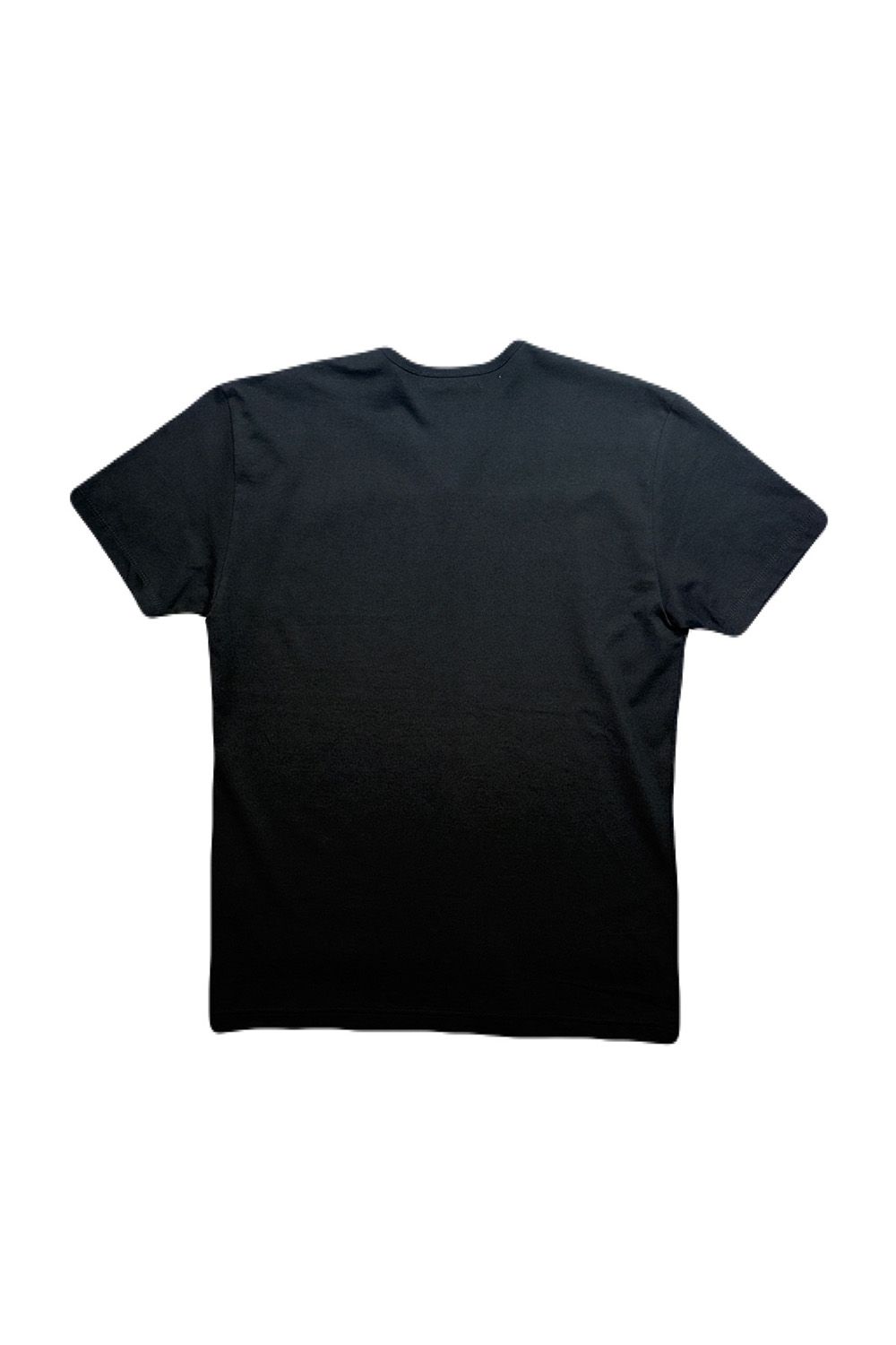 ARCHIVE VN/TEE FLOCK / アーカイブ Vネック Tシャツ フロッキープリントクロスガン