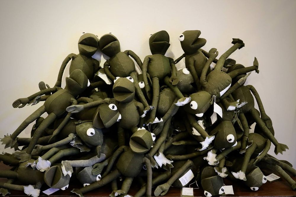 READYMADE FROGMAN 7/14(土)発売開始