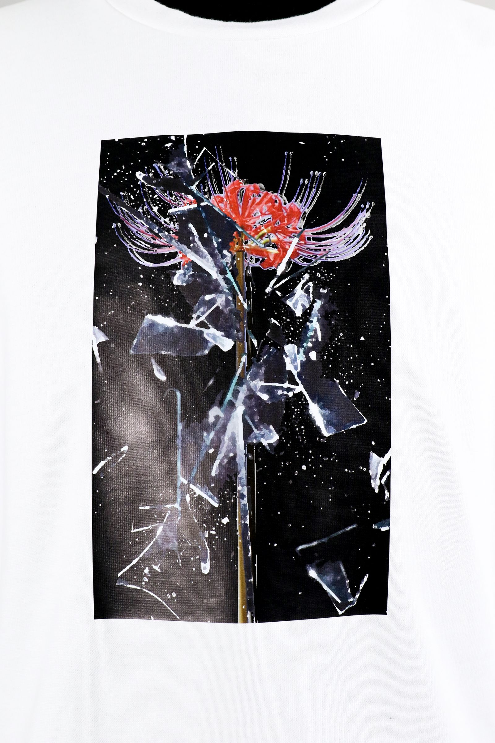 Print L/S Tee / プリント ロングスリーブ Tシャツ