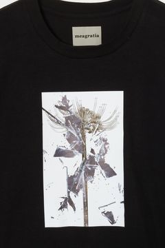 Print S/S Tee / プリント ショートスリーブ Tシャツ