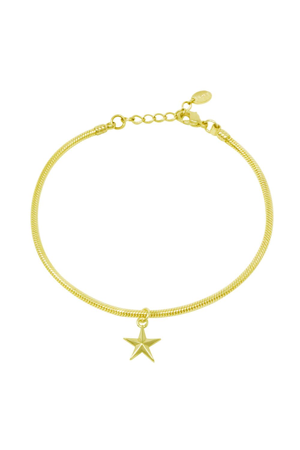 Tiny star yellow gold Anklet
