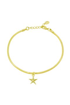 Tiny star yellow gold Anklet