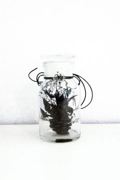 FLOWER ARRANGEMENT(S) / フラワー アレンジメント