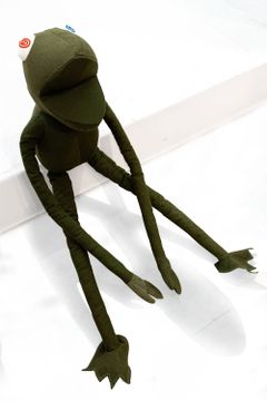 Frog Man