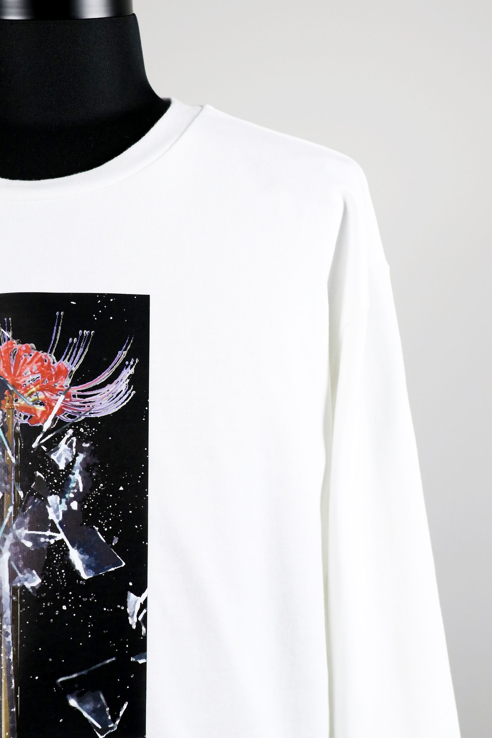 Print L/S Tee / プリント ロングスリーブ Tシャツ