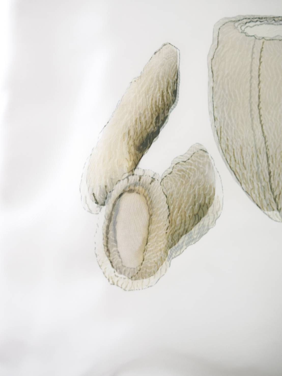 可愛いだけでは終わらない。違和感を纏う3DアートTシャツ / UNISEX /WHITE/ オーバーサイズ