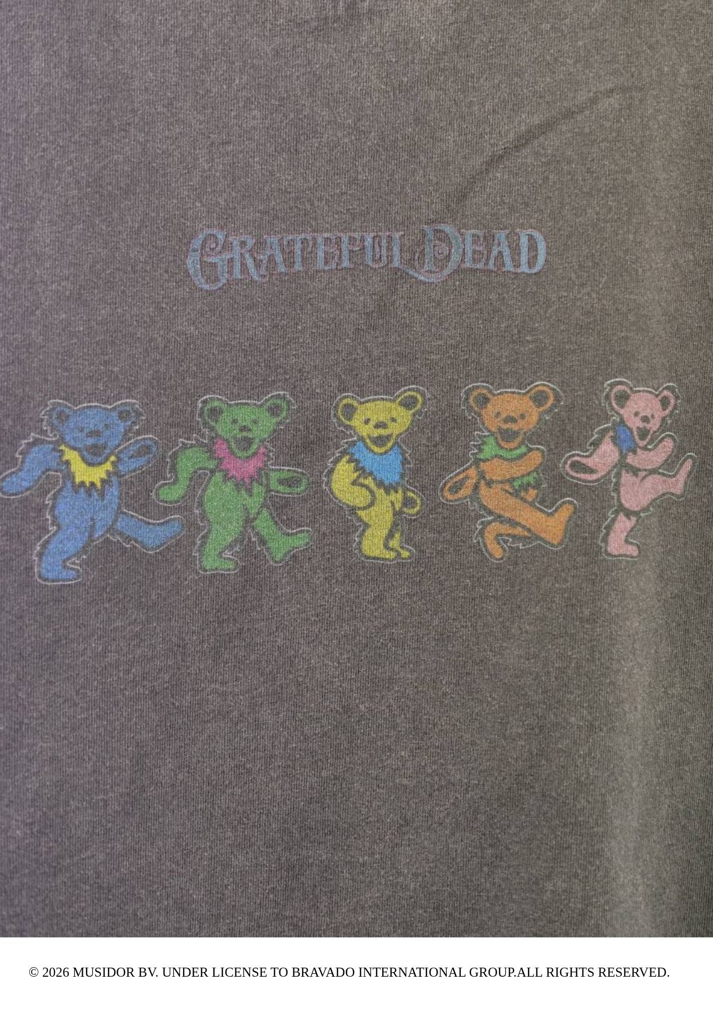 【グレイトフルデッド】 RP-GD-003 / Grateful Dead Tシャツ /  Charcoal / ユニセックス