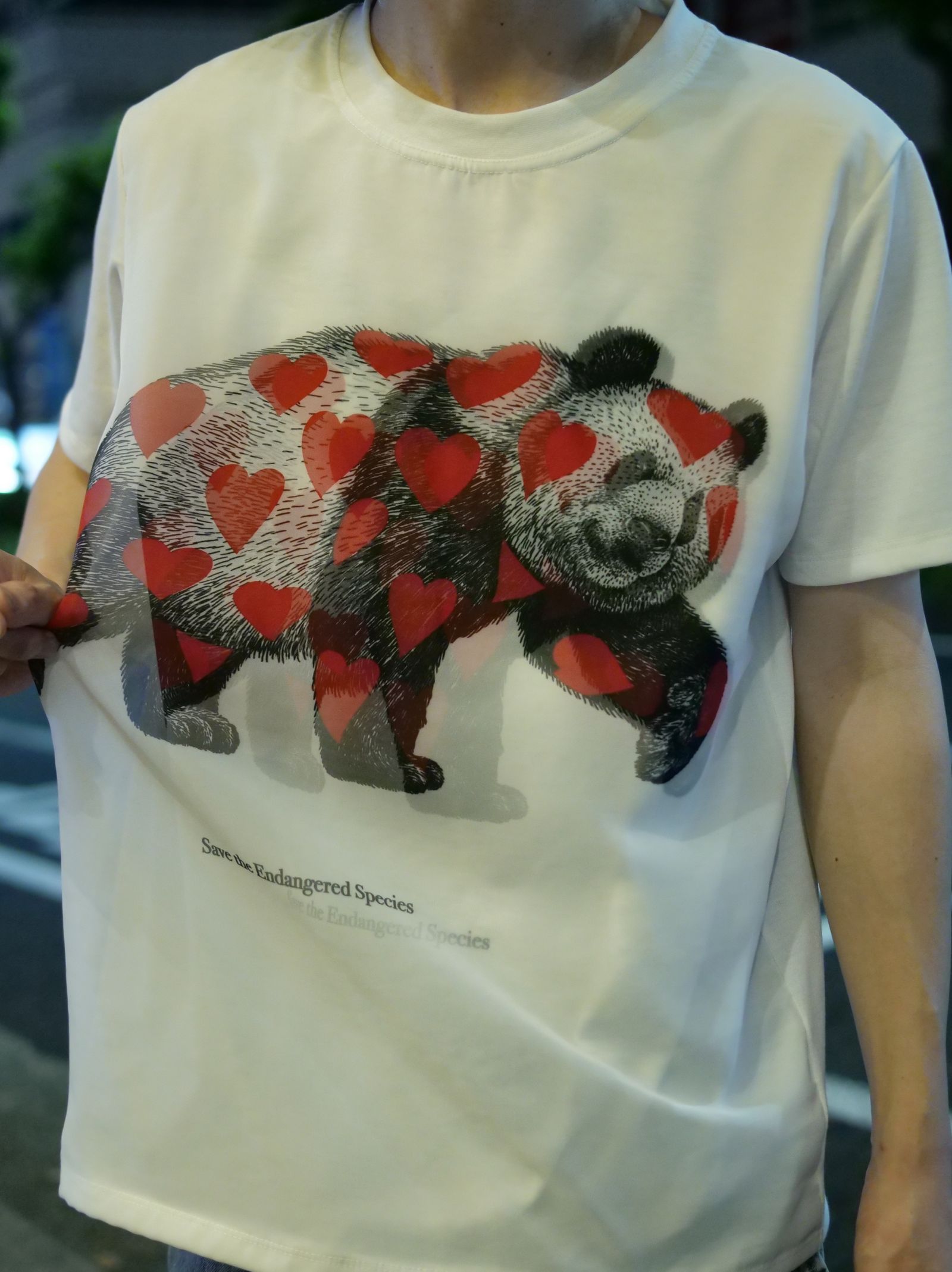 【3DアートTシャツ】RED LIST PANDA TR-004 /  ハートパンダ   / アートブランド / Art Tシャツ / WHITE / トロンプルイユファッション / ユニセックス
