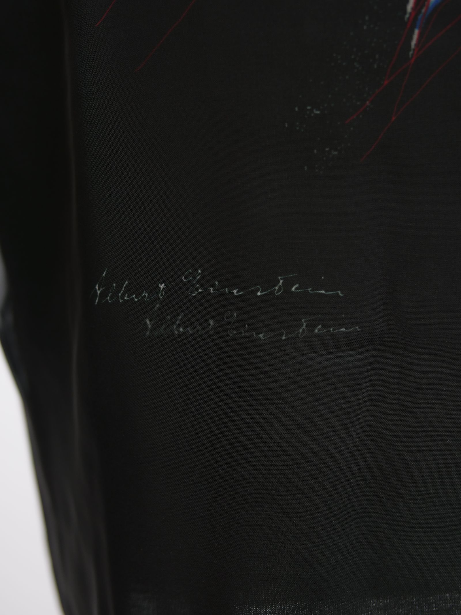 MX-1195 3D T EINSTEIN  / BLACK / 3D 長袖 Tシャツ / MADE IN JAPAN / 国産