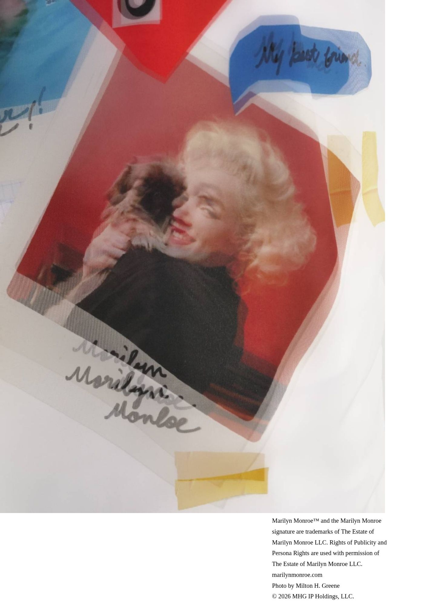 【マリリンモンローデザイン】TR-140 / MONROE SNAP PICTURE / 3DTシャツ / WHITE/ ユニセックス