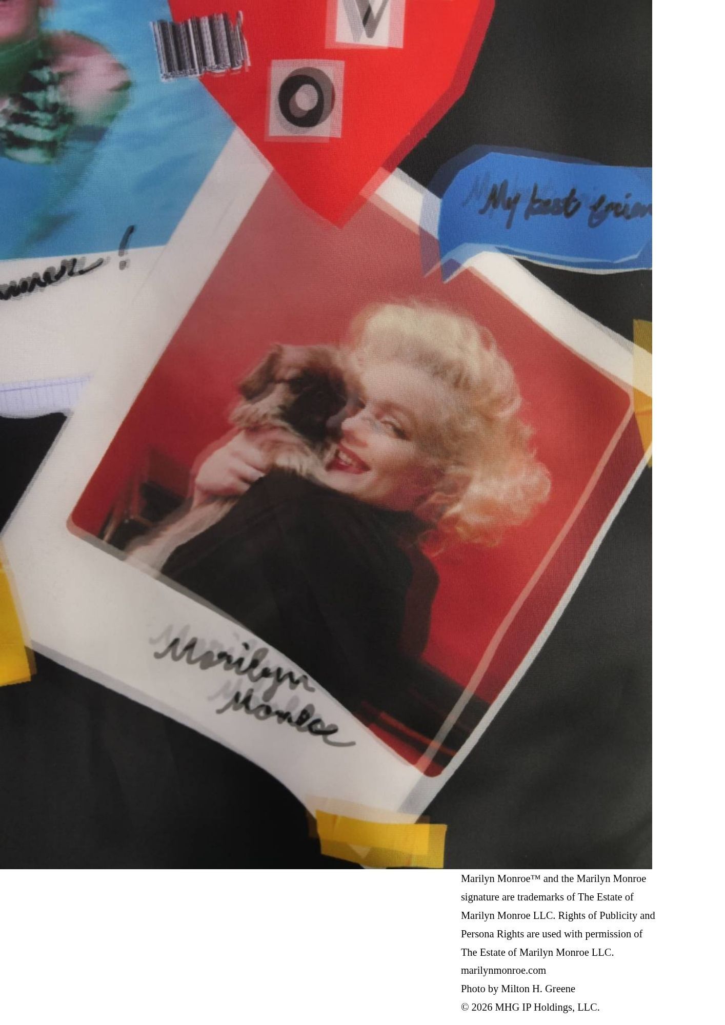 【マリリンモンローデザイン】TR-140 / MONROE SNAP PICTURE / 3DTシャツ /  BLACK / ユニセックス