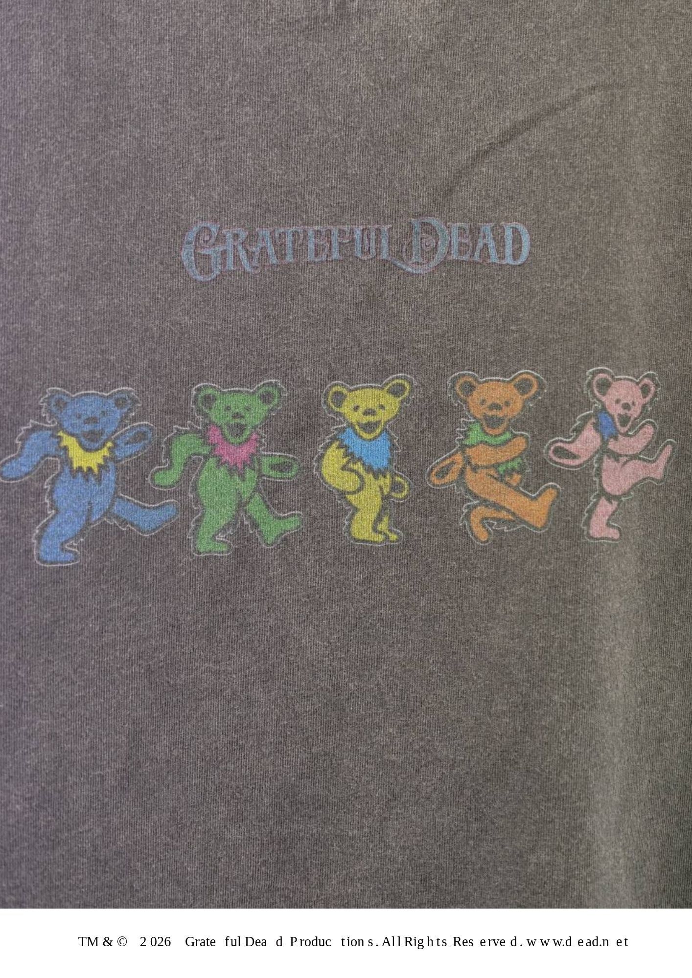 【グレイトフルデッド】 RP-GD-003 / Grateful Dead Tシャツ /  Charcoal / ユニセックス