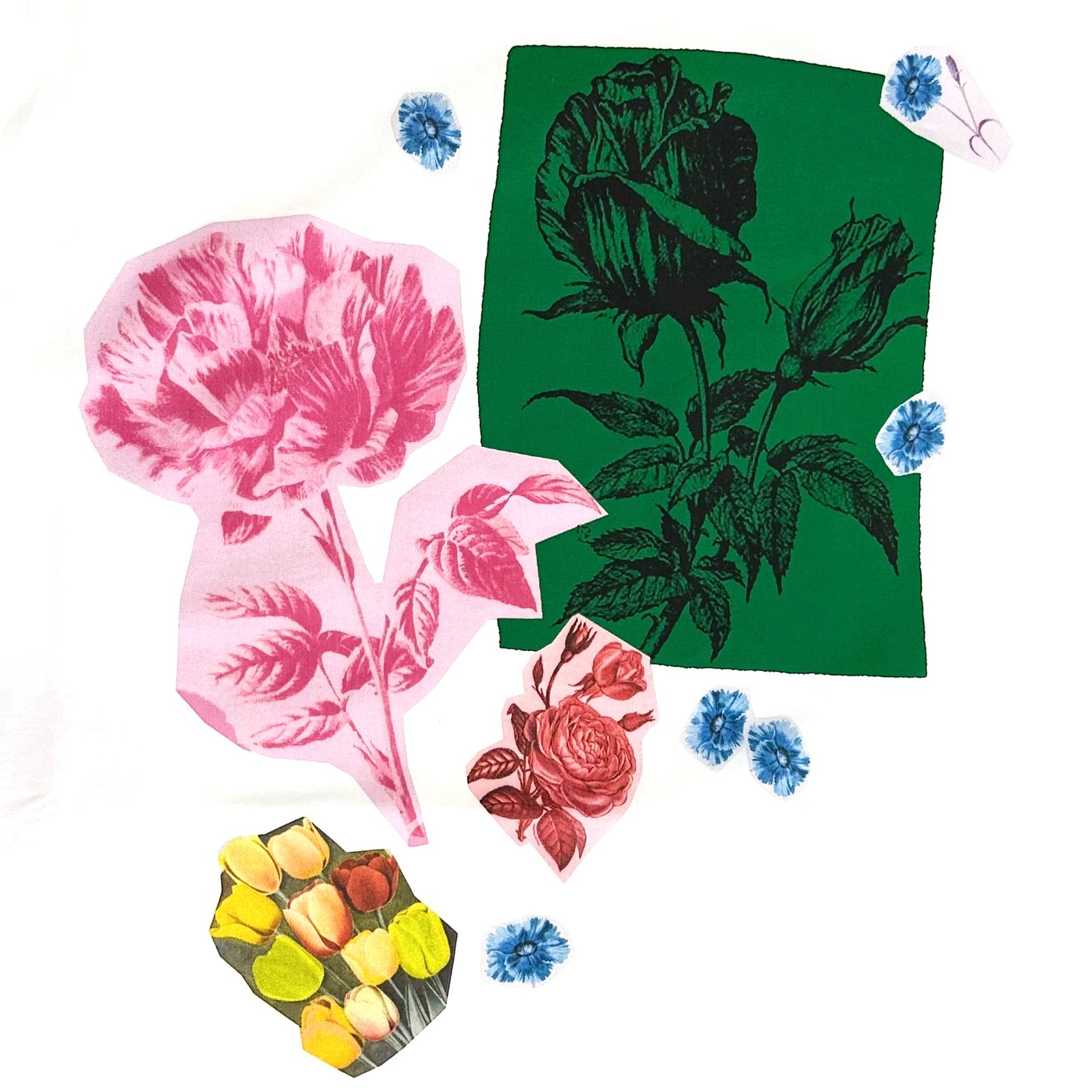 MARNI/ Tシャツ/ ホワイト /ユニセックス