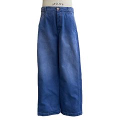 コットンキャンバス ワイドパンツ/ワークパンツ/ブルー/メンズ
